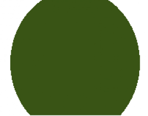 gallery/espirulinacolor