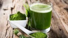 gallery/espirulina